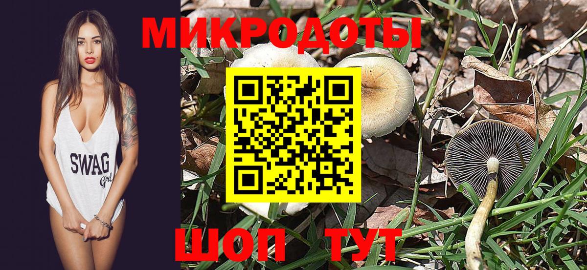 Галлюциногенные грибы Cubensis  Вход с VPN  Тосно 